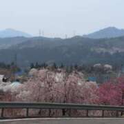 ヒメ日記 2025/04/18 13:43 投稿 ちずる 熟女の風俗最終章 高崎店