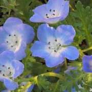 ヒメ日記 2025/04/21 06:08 投稿 ちずる 熟女の風俗最終章 高崎店