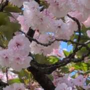 ヒメ日記 2025/04/21 08:48 投稿 ちずる 熟女の風俗最終章 高崎店