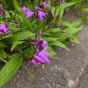 ヒメ日記 2025/04/22 12:48 投稿 ちずる 熟女の風俗最終章 高崎店