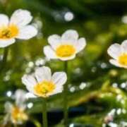 ヒメ日記 2025/04/30 08:12 投稿 ちずる 熟女の風俗最終章 高崎店