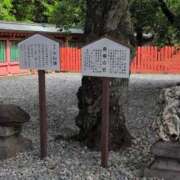 ヒメ日記 2025/05/08 10:18 投稿 ちずる 熟女の風俗最終章 高崎店