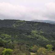 ヒメ日記 2025/05/09 07:08 投稿 ちずる 熟女の風俗最終章 高崎店