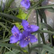 ヒメ日記 2025/05/23 18:28 投稿 ちずる 熟女の風俗最終章 高崎店