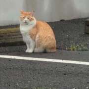 ヒメ日記 2025/05/25 07:18 投稿 ちずる 熟女の風俗最終章 高崎店