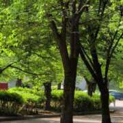 ヒメ日記 2025/05/25 09:04 投稿 ちずる 熟女の風俗最終章 高崎店