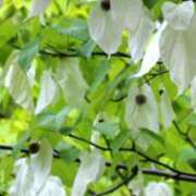 ヒメ日記 2025/05/25 11:48 投稿 ちずる 熟女の風俗最終章 高崎店