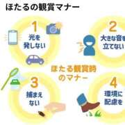 ヒメ日記 2025/05/27 04:28 投稿 ちずる 熟女の風俗最終章 高崎店