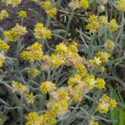 ヒメ日記 2025/05/27 08:28 投稿 ちずる 熟女の風俗最終章 高崎店