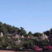 ヒメ日記 2025/05/28 07:58 投稿 ちずる 熟女の風俗最終章 高崎店