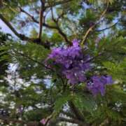 ヒメ日記 2025/06/06 09:48 投稿 ちずる 熟女の風俗最終章 高崎店