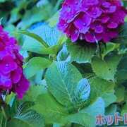 ヒメ日記 2025/06/12 07:17 投稿 ちずる 熟女の風俗最終章 高崎店