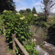 ヒメ日記 2025/06/15 10:28 投稿 ちずる 熟女の風俗最終章 高崎店