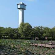 ヒメ日記 2025/06/17 07:59 投稿 ちずる 熟女の風俗最終章 高崎店