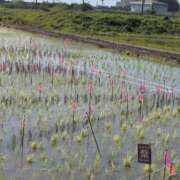ヒメ日記 2025/06/17 09:18 投稿 ちずる 熟女の風俗最終章 高崎店