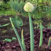 ヒメ日記 2025/06/18 06:58 投稿 ちずる 熟女の風俗最終章 高崎店