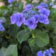 ヒメ日記 2025/06/18 11:28 投稿 ちずる 熟女の風俗最終章 高崎店