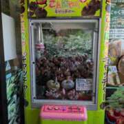 ヒメ日記 2025/06/19 11:58 投稿 ちずる 熟女の風俗最終章 高崎店