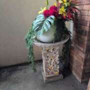 ヒメ日記 2025/06/19 15:43 投稿 ちずる 熟女の風俗最終章 高崎店