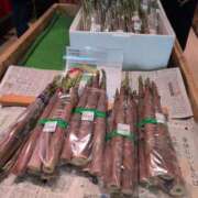 ヒメ日記 2025/06/19 16:48 投稿 ちずる 熟女の風俗最終章 高崎店