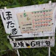 ヒメ日記 2025/06/21 07:36 投稿 ちずる 熟女の風俗最終章 高崎店