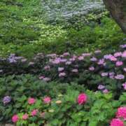 ヒメ日記 2025/06/26 11:38 投稿 ちずる 熟女の風俗最終章 高崎店