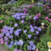 ヒメ日記 2025/06/27 07:48 投稿 ちずる 熟女の風俗最終章 高崎店