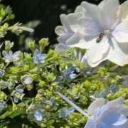 ヒメ日記 2025/06/27 22:41 投稿 ちずる 熟女の風俗最終章 高崎店