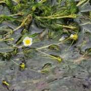 ヒメ日記 2025/07/03 08:37 投稿 ちずる 熟女の風俗最終章 高崎店