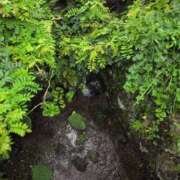 ヒメ日記 2025/07/03 09:08 投稿 ちずる 熟女の風俗最終章 高崎店