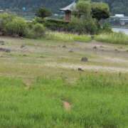 ヒメ日記 2025/07/04 14:24 投稿 ちずる 熟女の風俗最終章 高崎店