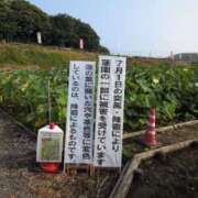 ヒメ日記 2025/07/09 07:08 投稿 ちずる 熟女の風俗最終章 高崎店