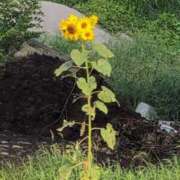 ヒメ日記 2025/07/09 14:28 投稿 ちずる 熟女の風俗最終章 高崎店