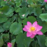 ヒメ日記 2025/07/10 07:28 投稿 ちずる 熟女の風俗最終章 高崎店