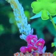 ヒメ日記 2025/07/10 17:16 投稿 ちずる 熟女の風俗最終章 高崎店