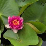 ヒメ日記 2025/07/11 10:08 投稿 ちずる 熟女の風俗最終章 高崎店