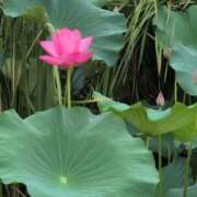 ヒメ日記 2025/07/14 07:05 投稿 ちずる 熟女の風俗最終章 高崎店