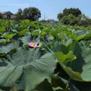 ヒメ日記 2025/07/22 10:58 投稿 ちずる 熟女の風俗最終章 高崎店