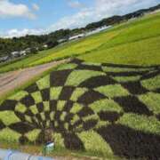 ヒメ日記 2025/07/24 10:58 投稿 ちずる 熟女の風俗最終章 高崎店