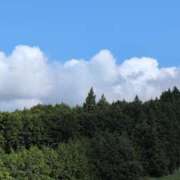 ヒメ日記 2025/07/26 08:44 投稿 ちずる 熟女の風俗最終章 高崎店