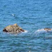 ヒメ日記 2025/08/05 16:08 投稿 ちずる 熟女の風俗最終章 高崎店