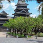 ヒメ日記 2025/08/17 15:48 投稿 ちずる 熟女の風俗最終章 高崎店