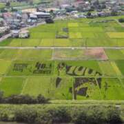 ヒメ日記 2025/08/18 11:53 投稿 ちずる 熟女の風俗最終章 高崎店