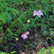 ヒメ日記 2025/08/19 21:15 投稿 ちずる 熟女の風俗最終章 高崎店