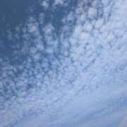 ヒメ日記 2025/08/20 09:28 投稿 ちずる 熟女の風俗最終章 高崎店