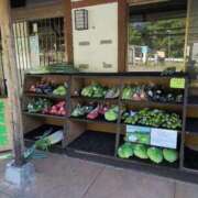 ヒメ日記 2025/08/30 09:58 投稿 ちずる 熟女の風俗最終章 高崎店