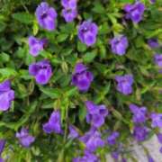 ヒメ日記 2025/09/07 23:28 投稿 ちずる 熟女の風俗最終章 高崎店