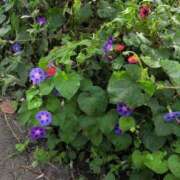 ヒメ日記 2025/09/22 12:03 投稿 ちずる 熟女の風俗最終章 高崎店