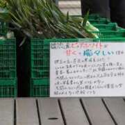 ヒメ日記 2025/09/23 09:08 投稿 ちずる 熟女の風俗最終章 高崎店