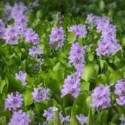 ヒメ日記 2025/09/30 09:28 投稿 ちずる 熟女の風俗最終章 高崎店